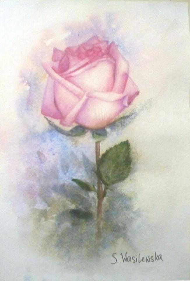 Sophie Wasilewska. Pink rose