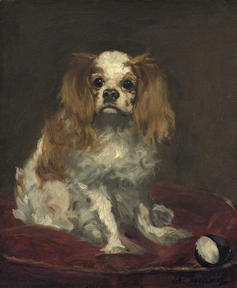 Edouard Manet. The cavalier king Charles Spaniel