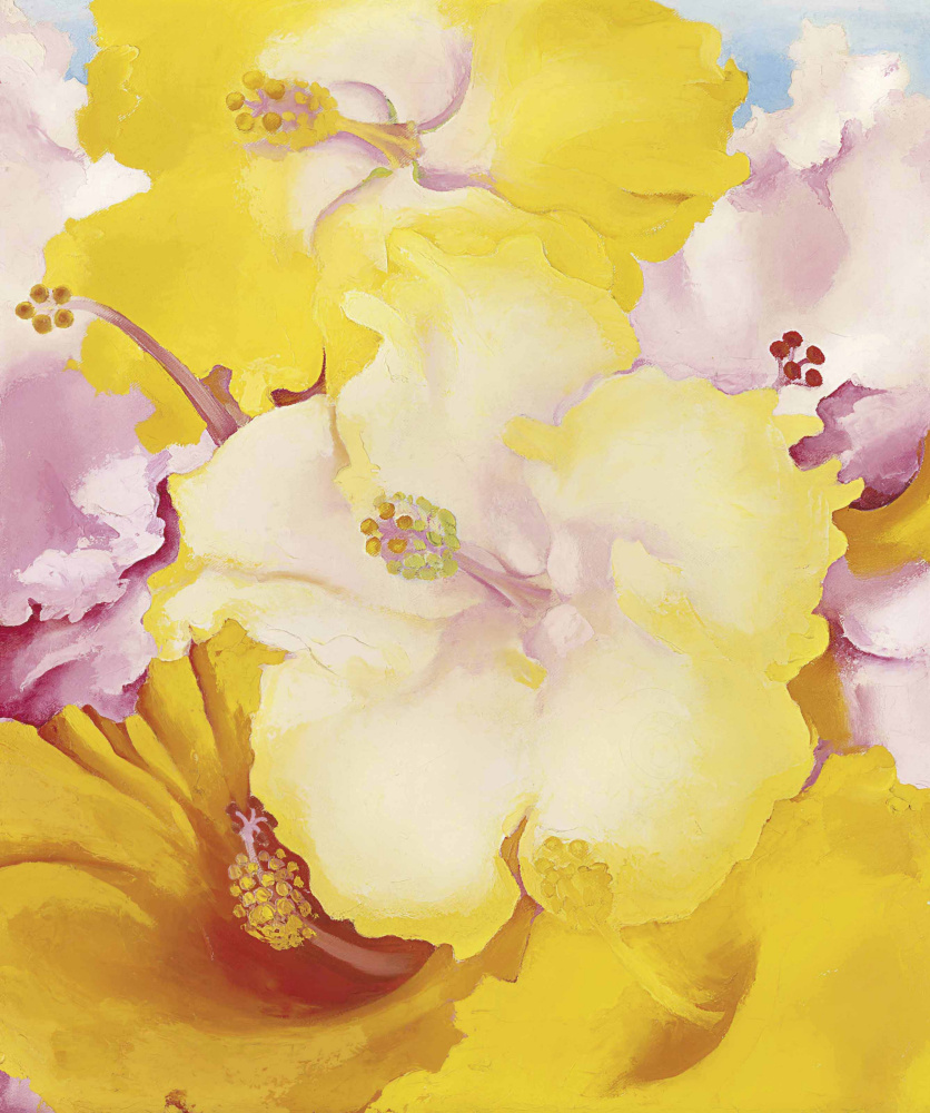 Georgia O'Keeffe. Hibiscus