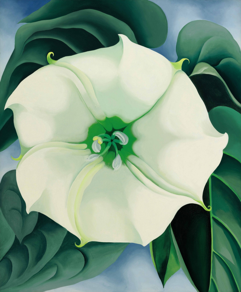 Georgia O'Keeffe. Jimson weed (White flower No. 1)