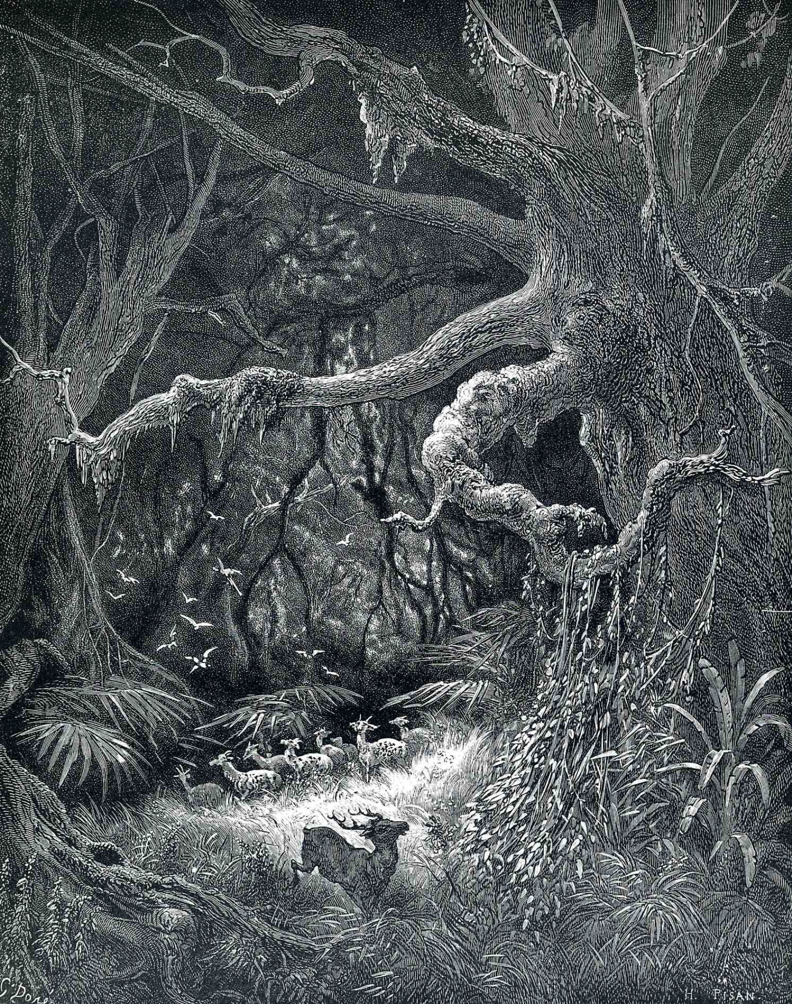 Enchanted forest, XIX by Paul Gustave Dore: History, Analysis & Facts
