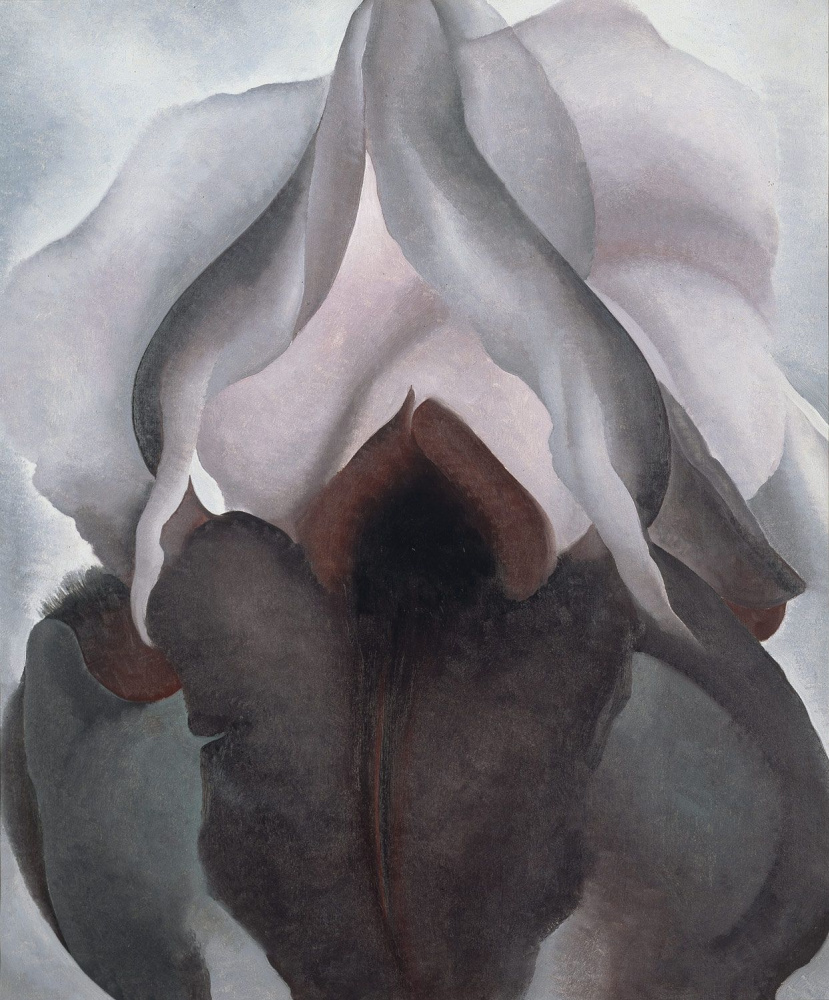 Georgia O'Keeffe. Black iris III