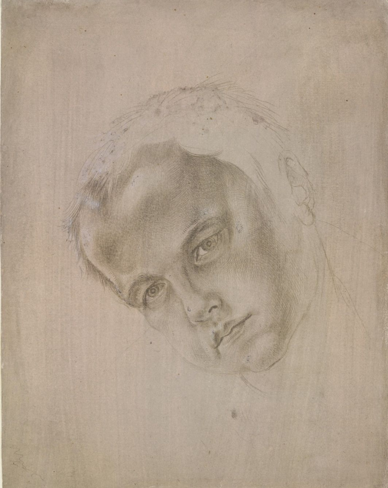 Albrecht Dürer. The boy's head, bent to the left
