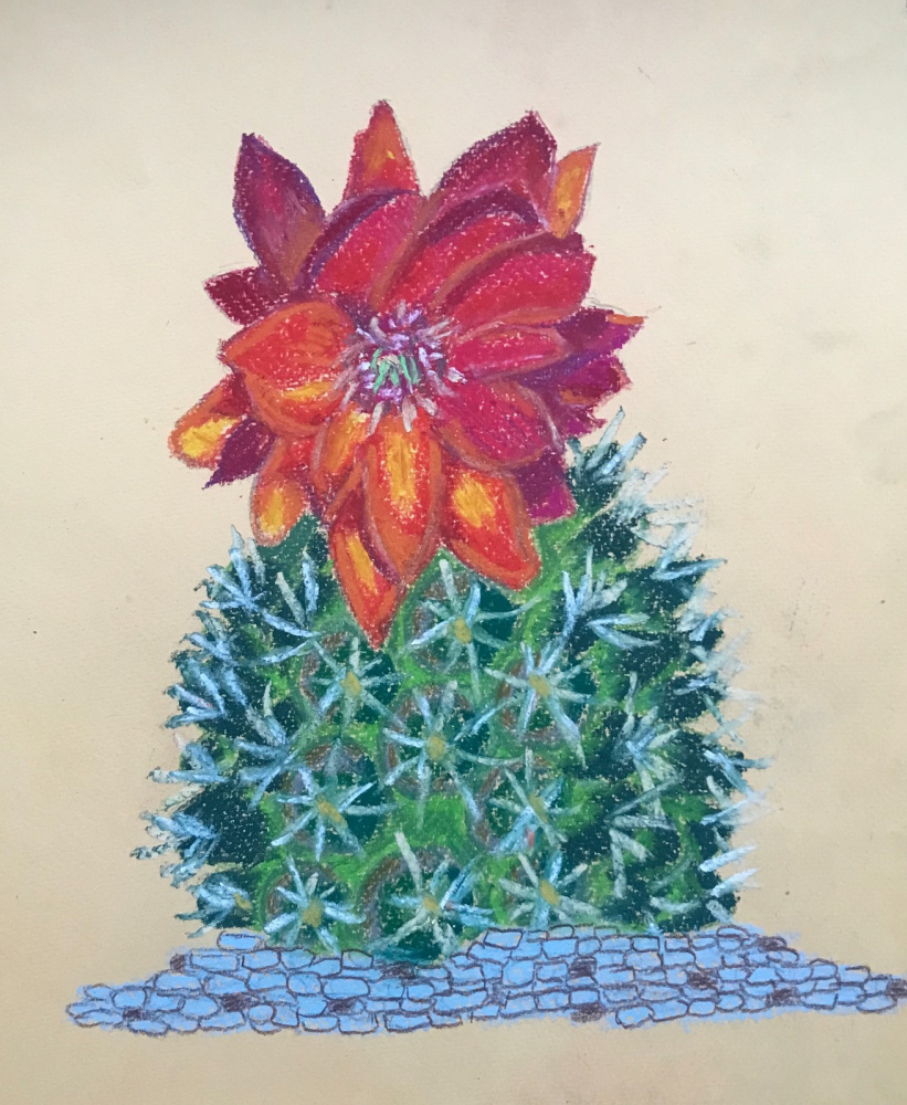 Mikhail Dmitrievich Grushevsky. "Cactus flower."