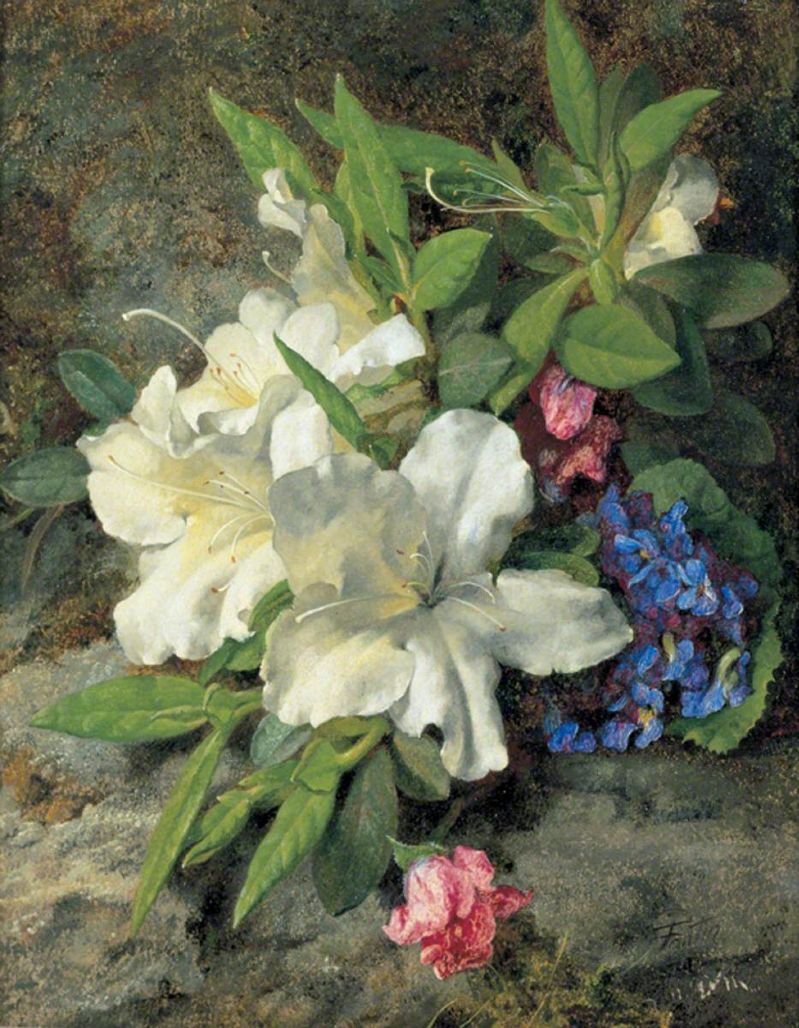 Henri Fantin-Latour Azaleas blancas, 19×24 cm: Descripción de la obra |  Arthive