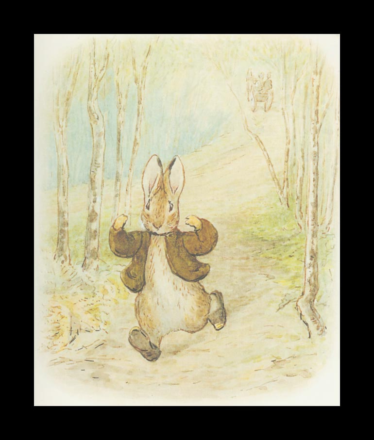 Benjamin and Rabbit Peter Bunny. The tale of Peter the rabbit 9