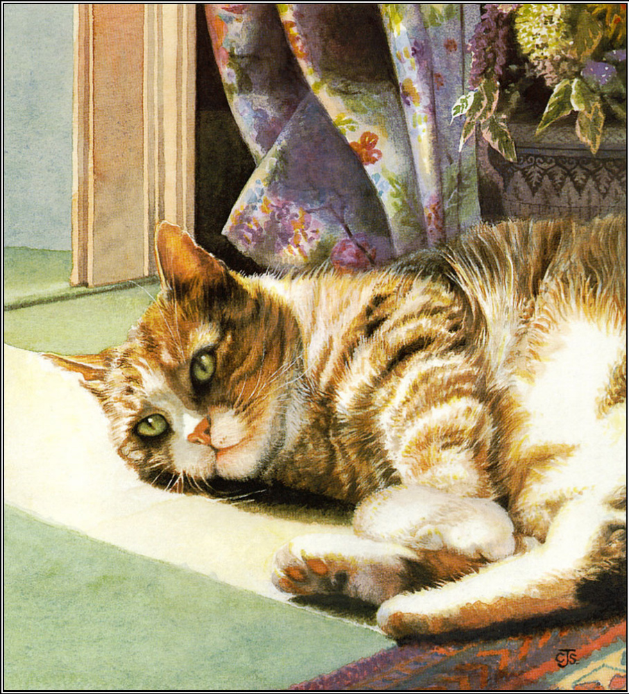 Krissy Snelling. Cat resting