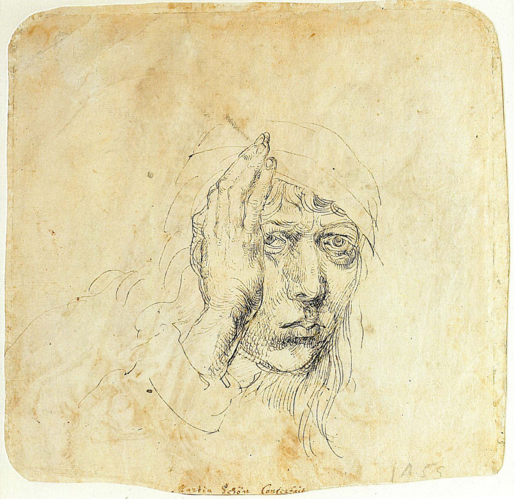 Дюрер автопортрет 1491