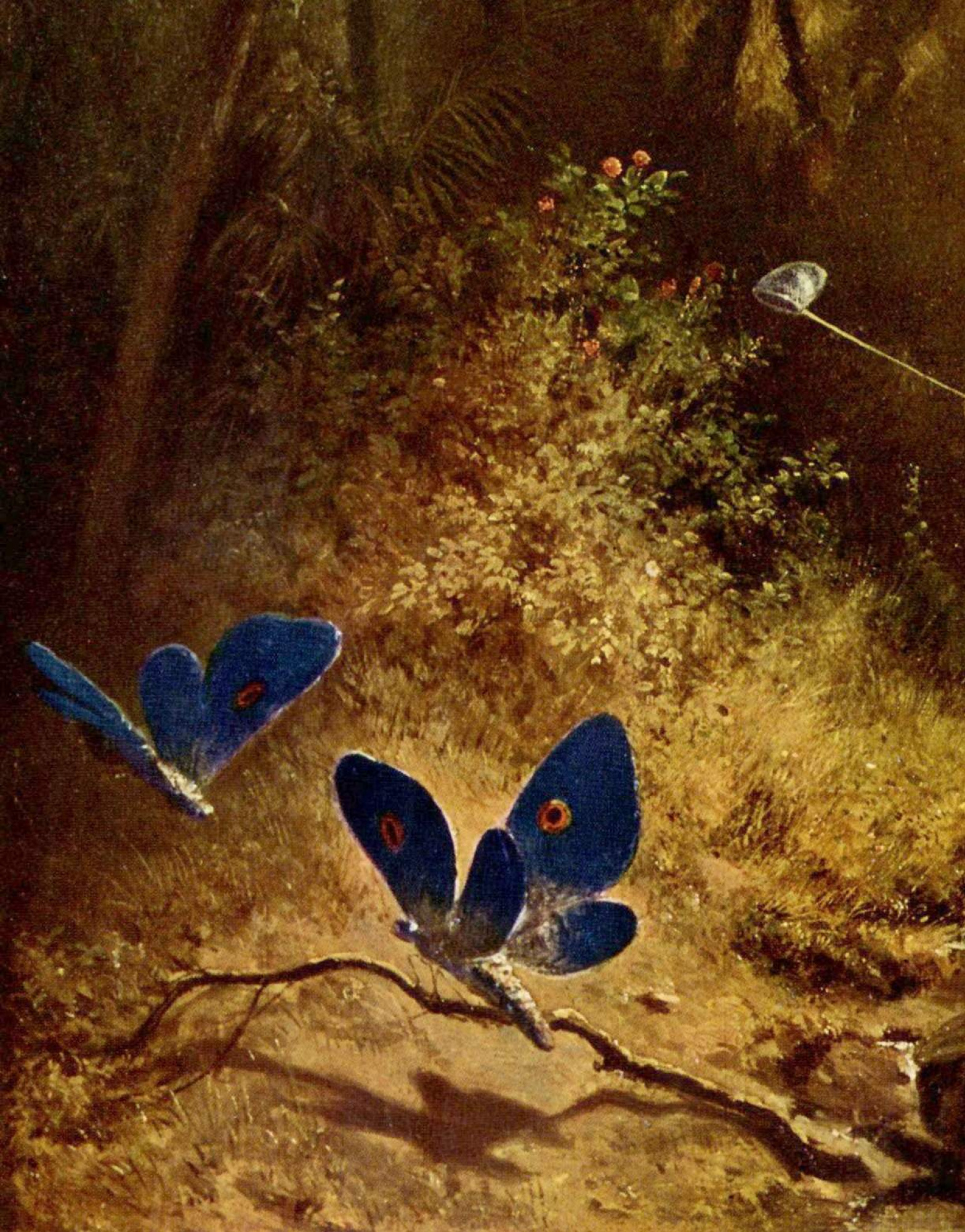 Buy digital version: Butterfly catcher. Fragment by Karl Spitzweg