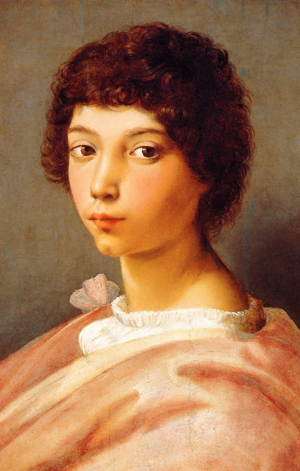Raphael Santi. Portrait of a young man