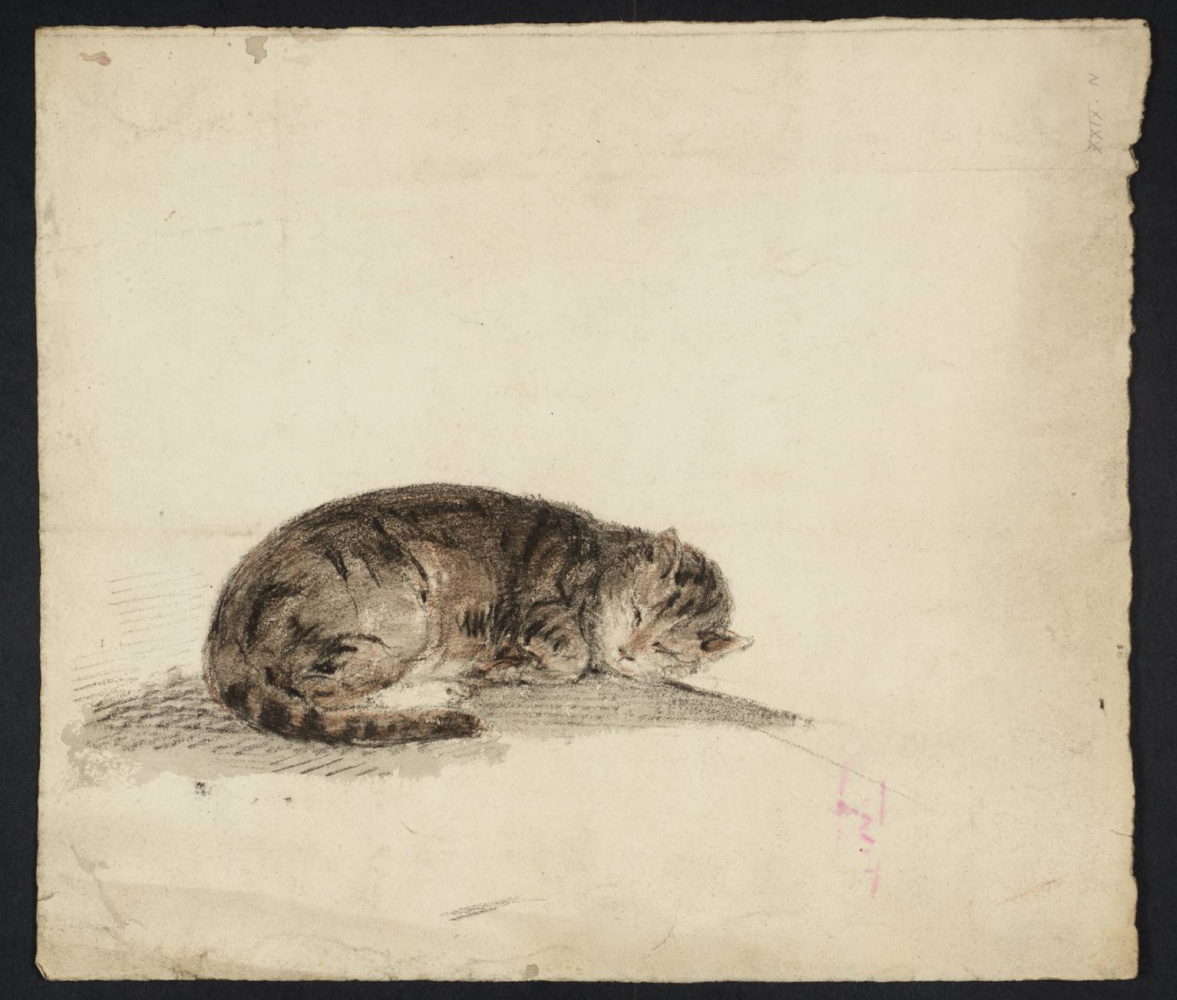 Joseph Mallord William Turner. Sketch sleeping cat