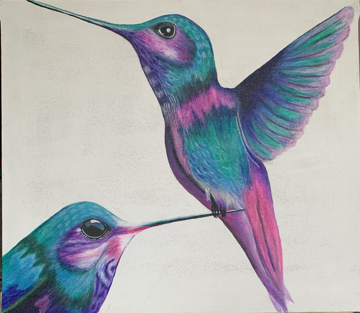 Flutter the hummingbird