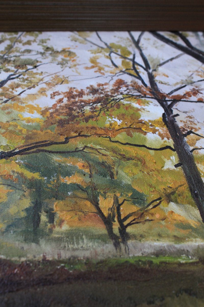 Autumn oaks in Grebnevo