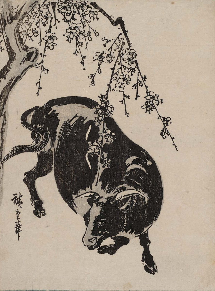 Utagawa Hiroshige. Bull under a blossoming cherry tree