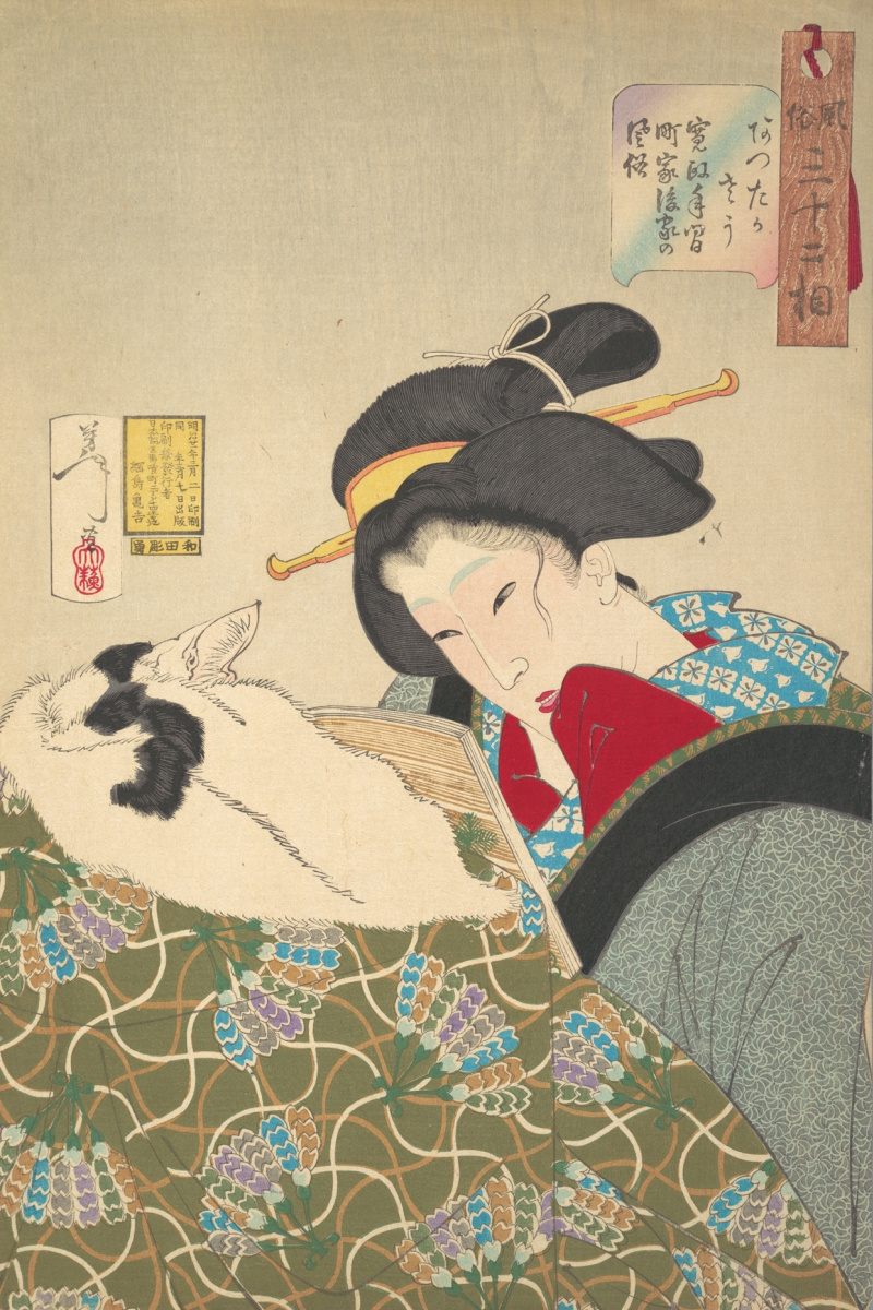 Tsukioka Yoshitoshi. A feeling of warmth - a woman reading with a sleeping cat. Series "32 the feminine face of everyday life"