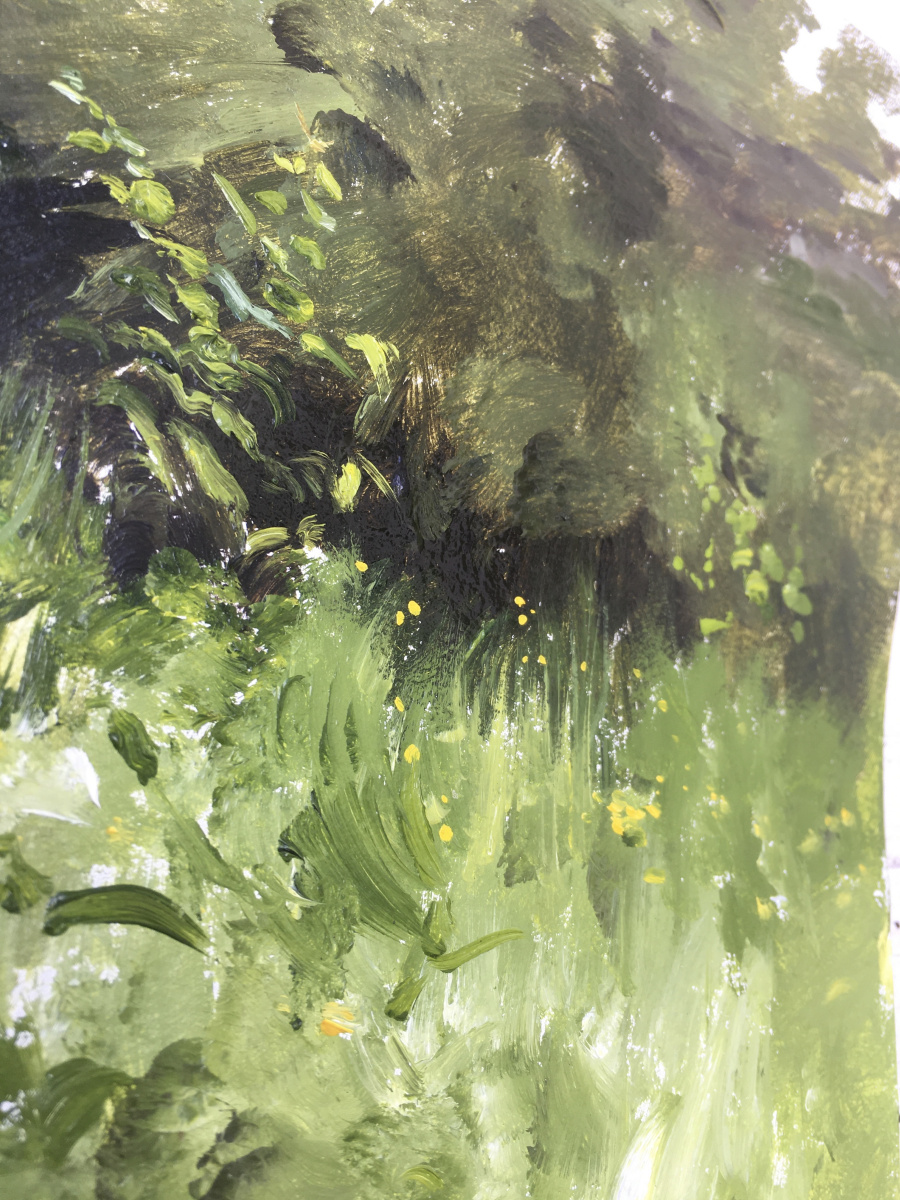 A sunny corner of the forest. Buttercups