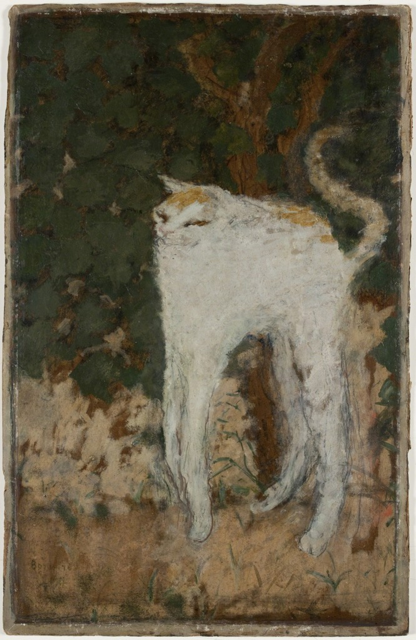 картина белый кот пьер боннар