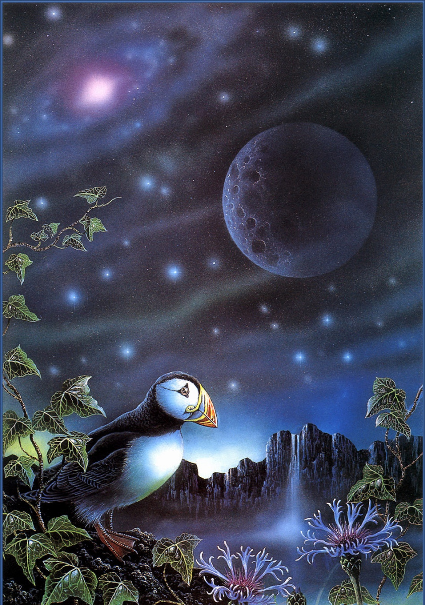 Космическая птица