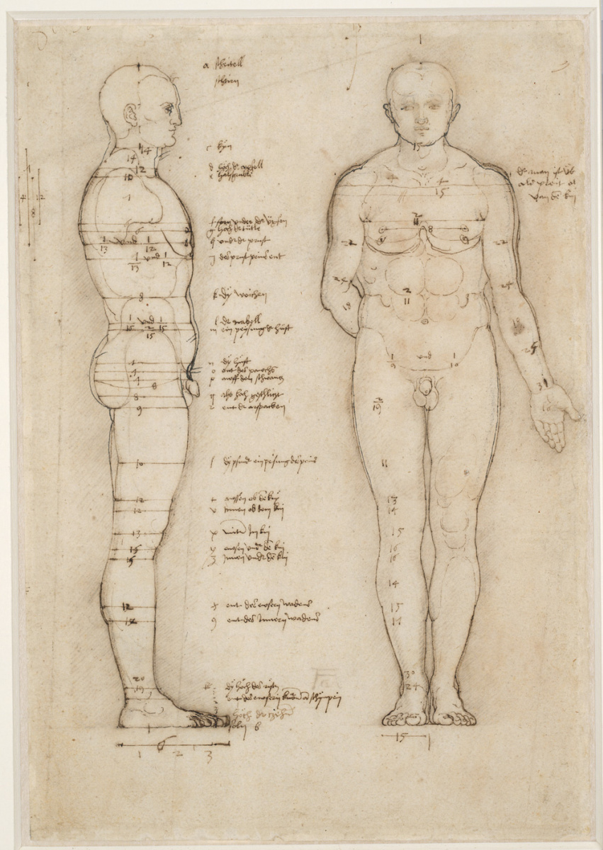 Альбрехт Дюрер пропорции тела человека