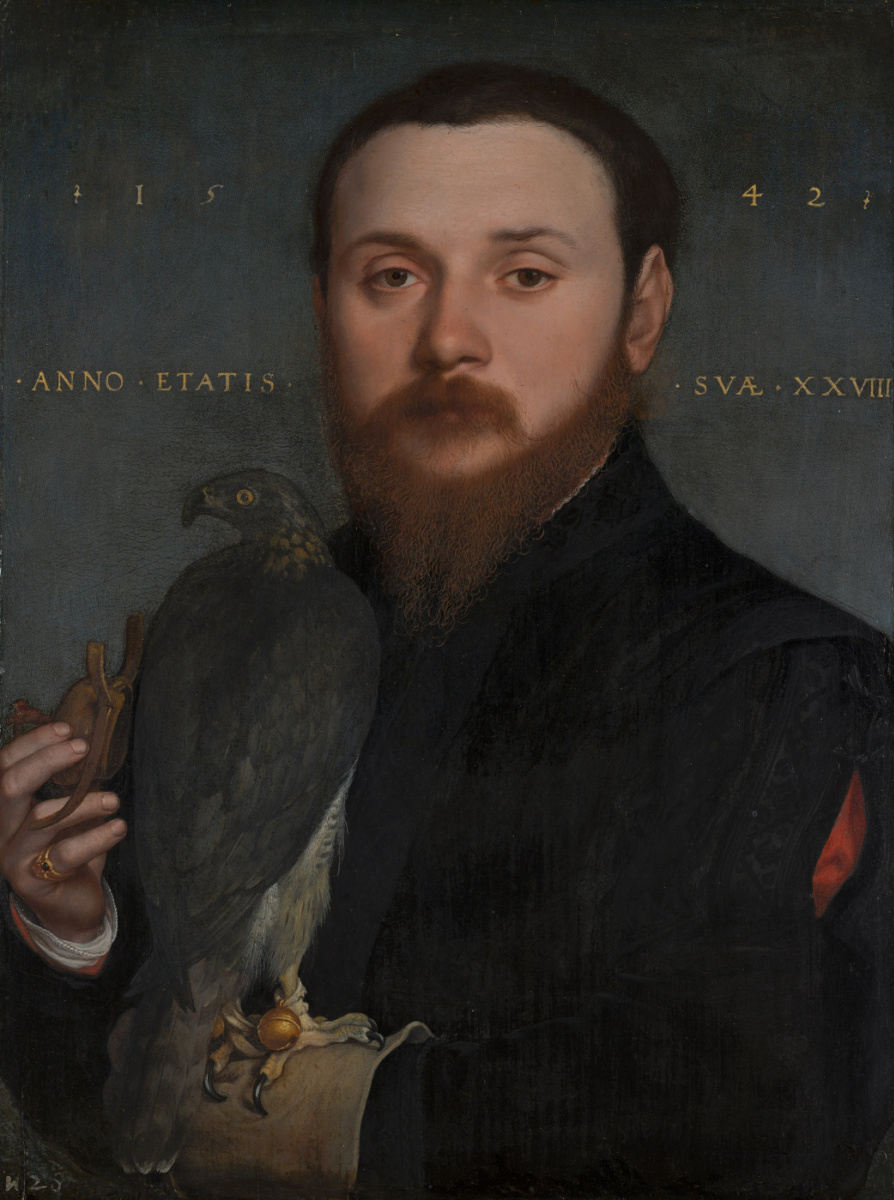 Hans Holbein the Younger. Portrait of a Nobleman with a Falcon