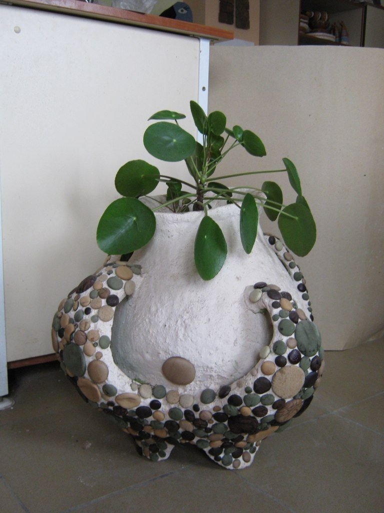 Ekaterina Yuryevna Davydova. Pot for plants "paparats-Kvetka"