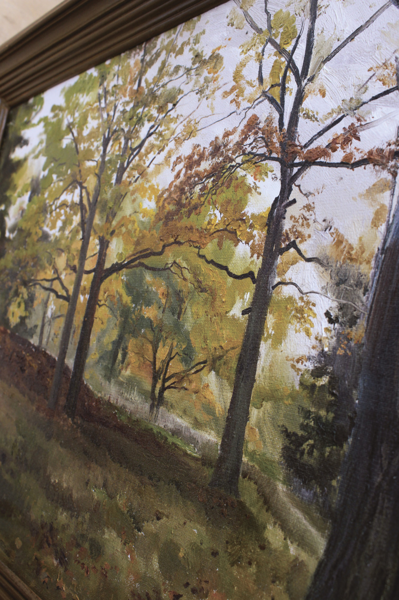 Autumn oaks in Grebnevo