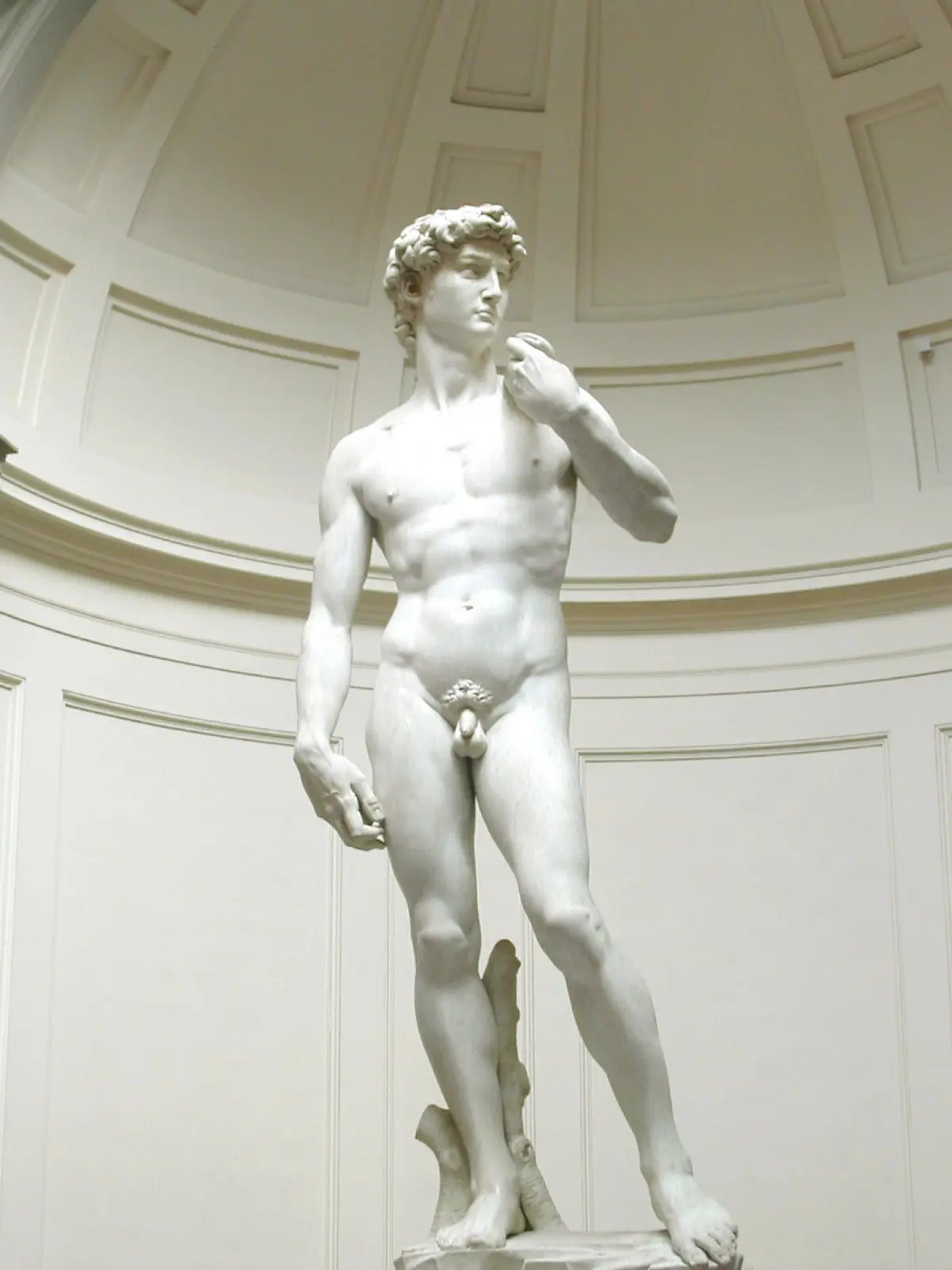 Давид Микеланджело Буонарроти, 1504, 517 см Местонахождение: Галерея Академии, Флоренция