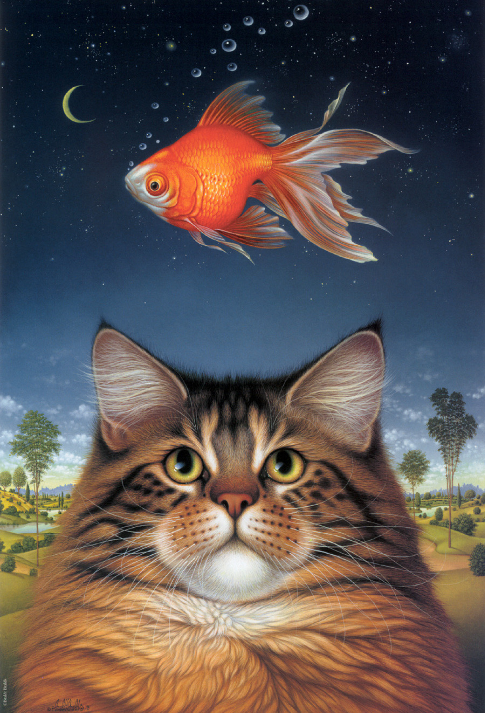 Cats And Goldfish – Trypaint