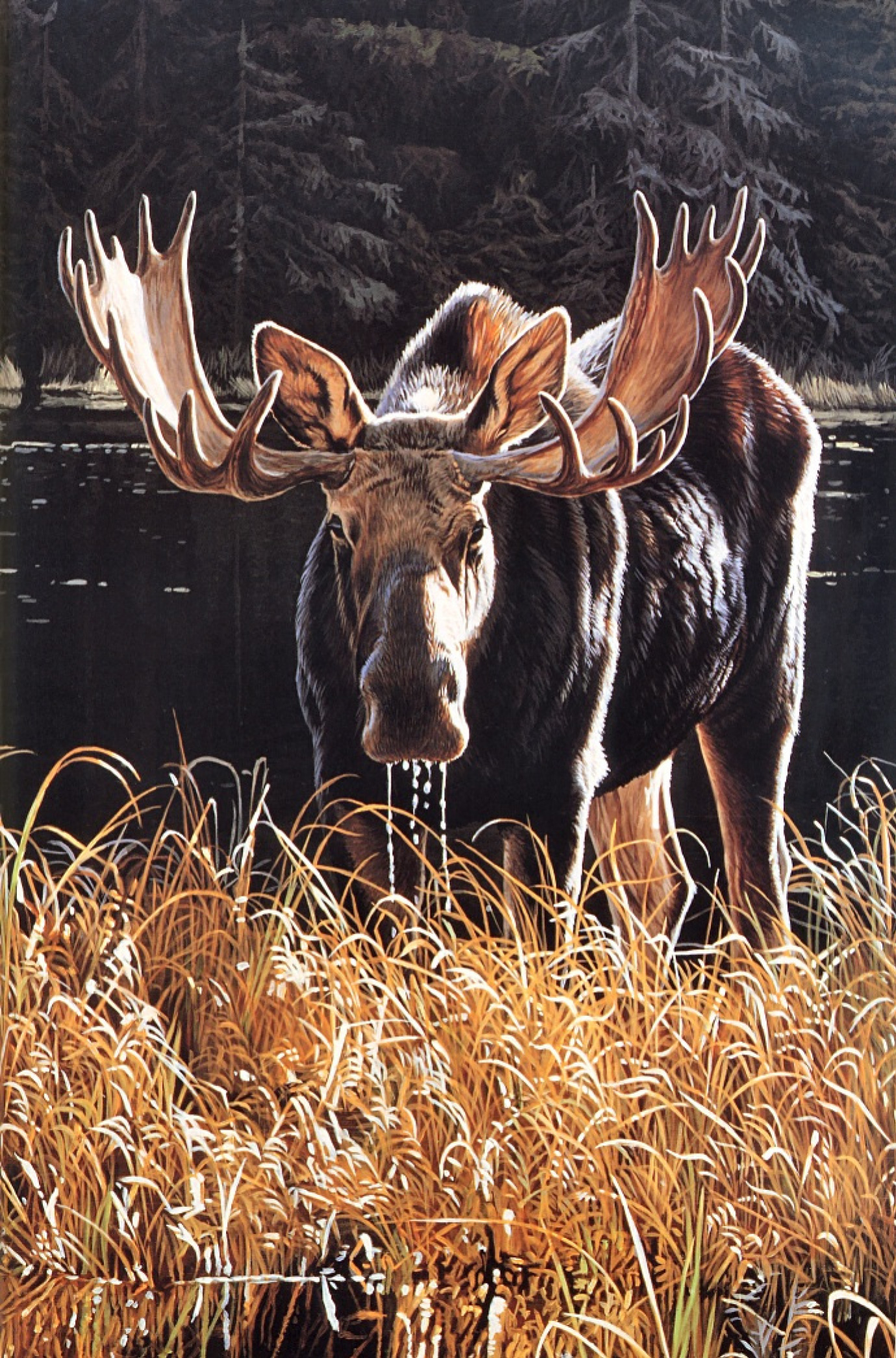 Moose by Ron Parker: History, Analysis & Facts | Arthive