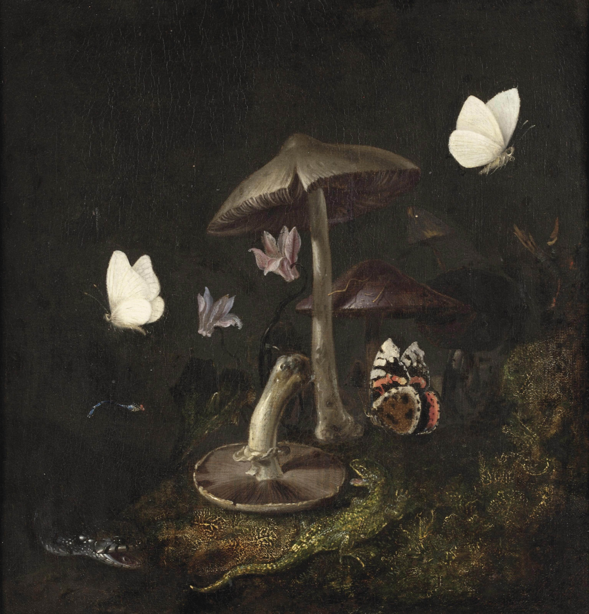 Otto Marceus van Scriec. Undergrowth with mushrooms, butterflies, dragonfly, snake lizard