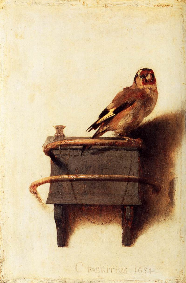 Goldfinch