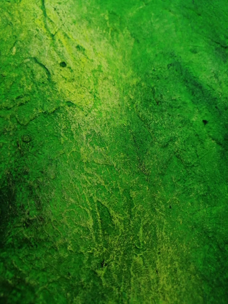 Juicy Art