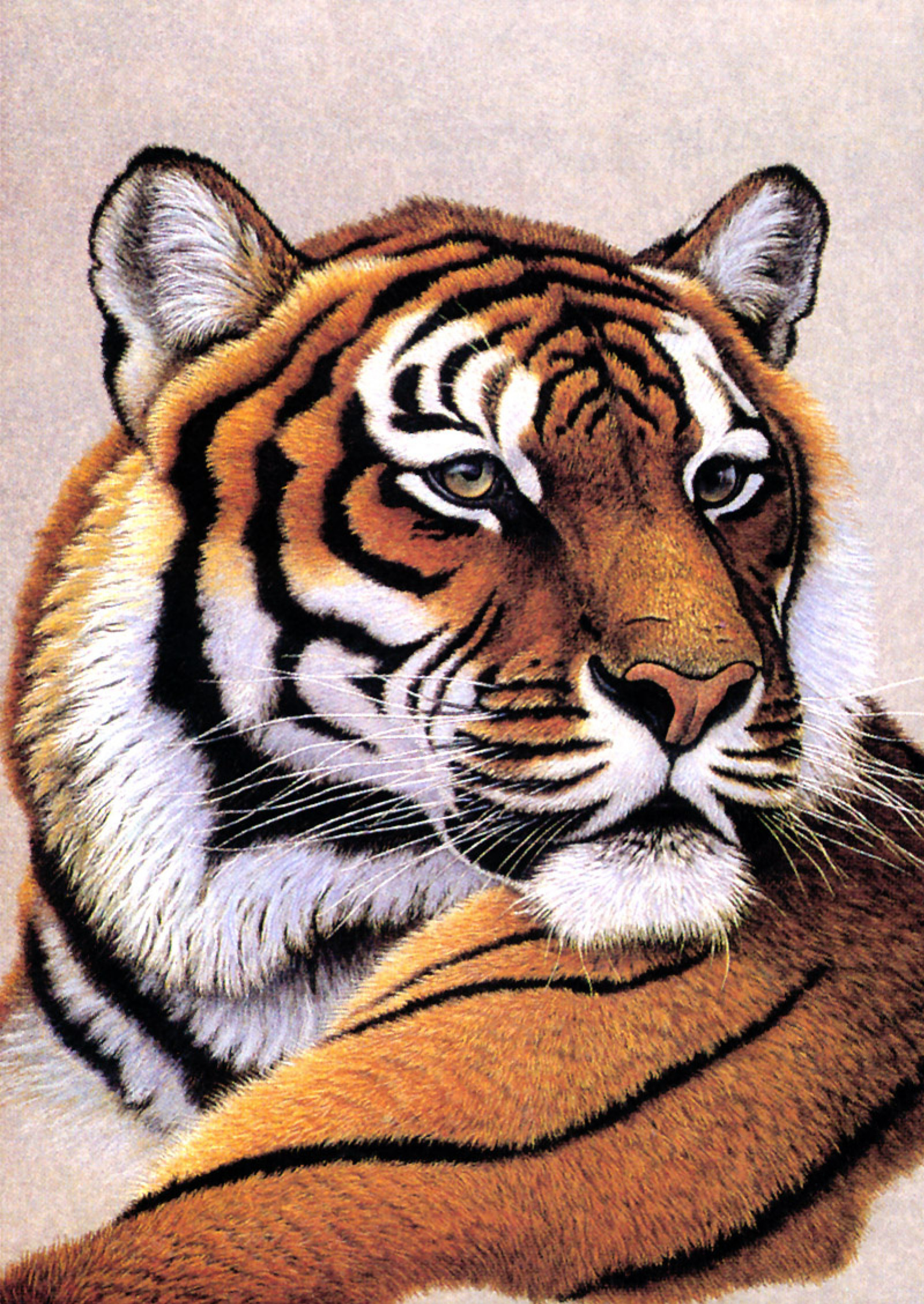 History - THE BENGAL TIGER