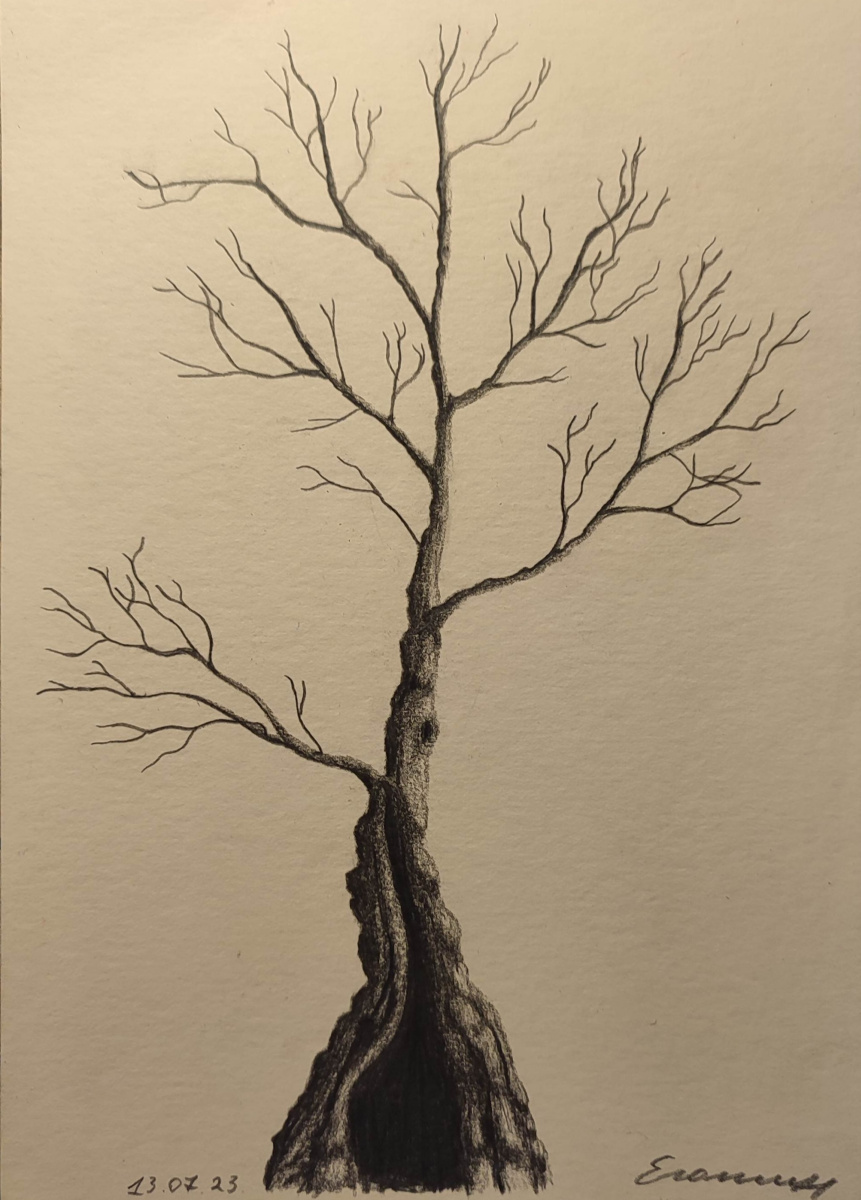 Egoshin. Empty tree