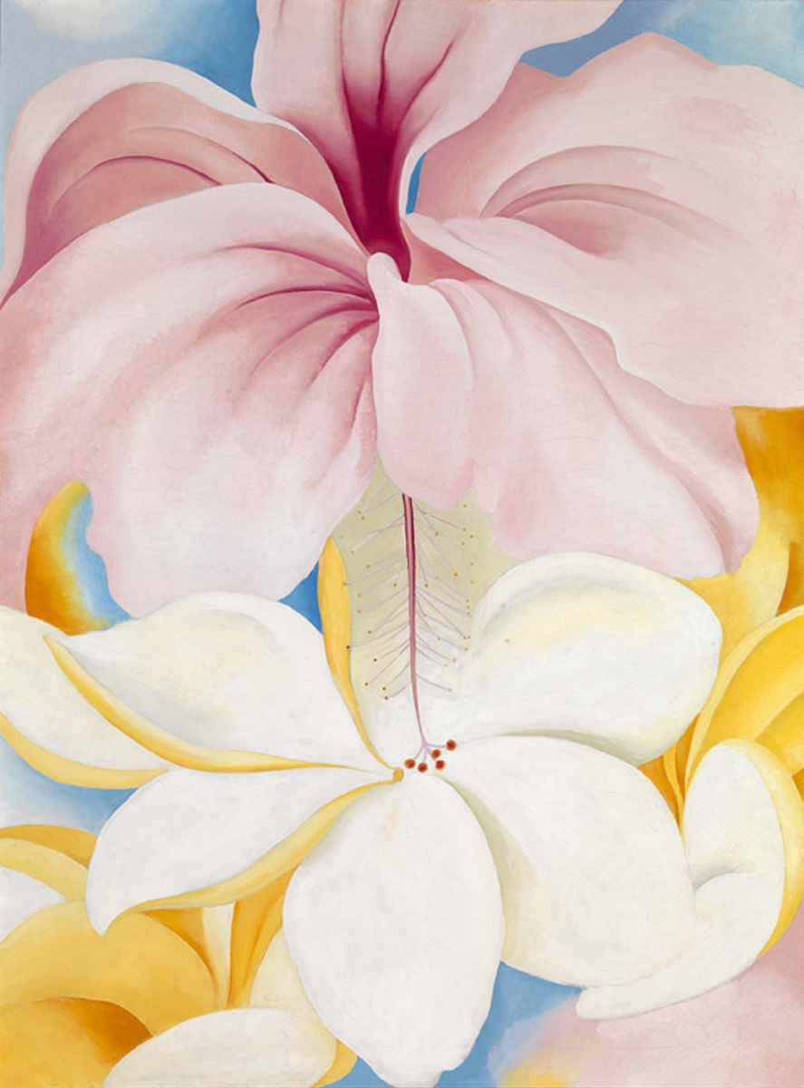 Georgia O'Keeffe. Hibiscus and plumeria