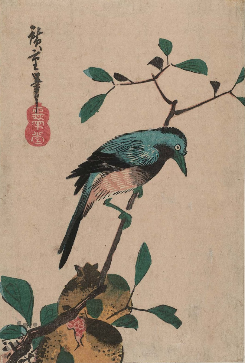 Utagawa Hiroshige. Jay on a branch and pomegranate fruits. Series "Birds and flowers"