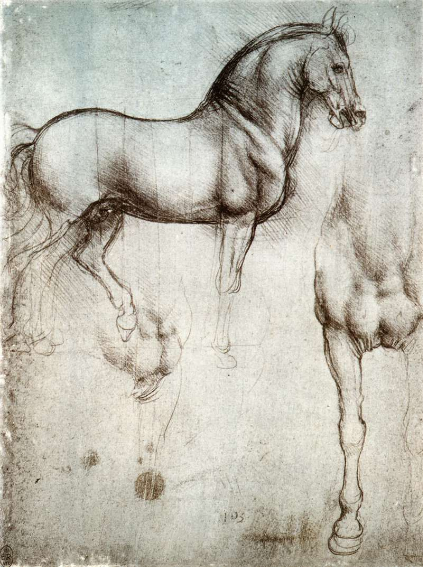 Leonardos anatomical sketches fascinate modernday anatomist