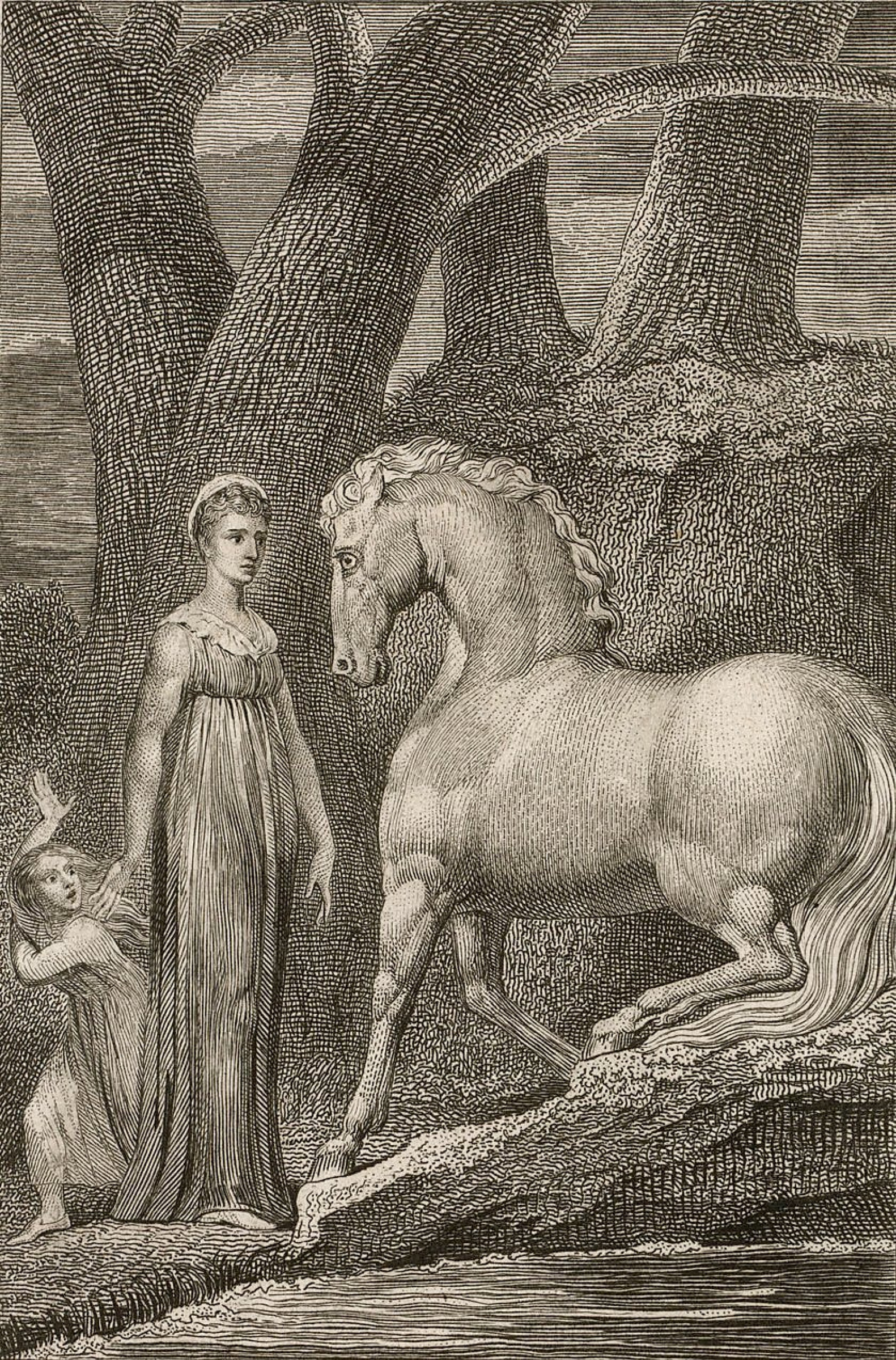 Horse. Illustrations to William Hayley's 