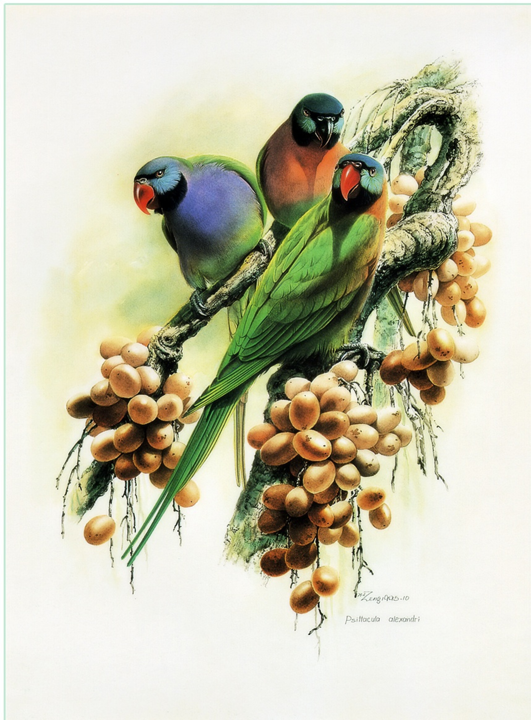 Birds 30, XX by Zeng Xiao Lian: History, Analysis & Facts | Arthive