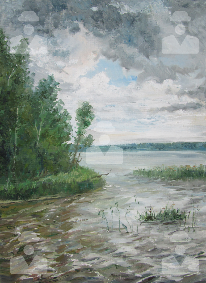 Aleksandra Serova. The lake on a gray day
