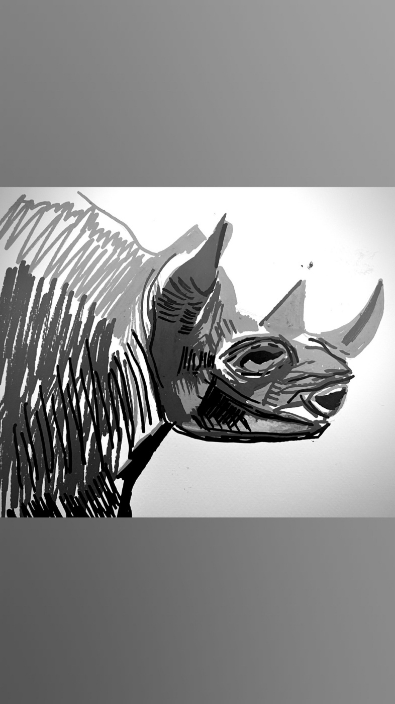 Blinova. Rhinoceros