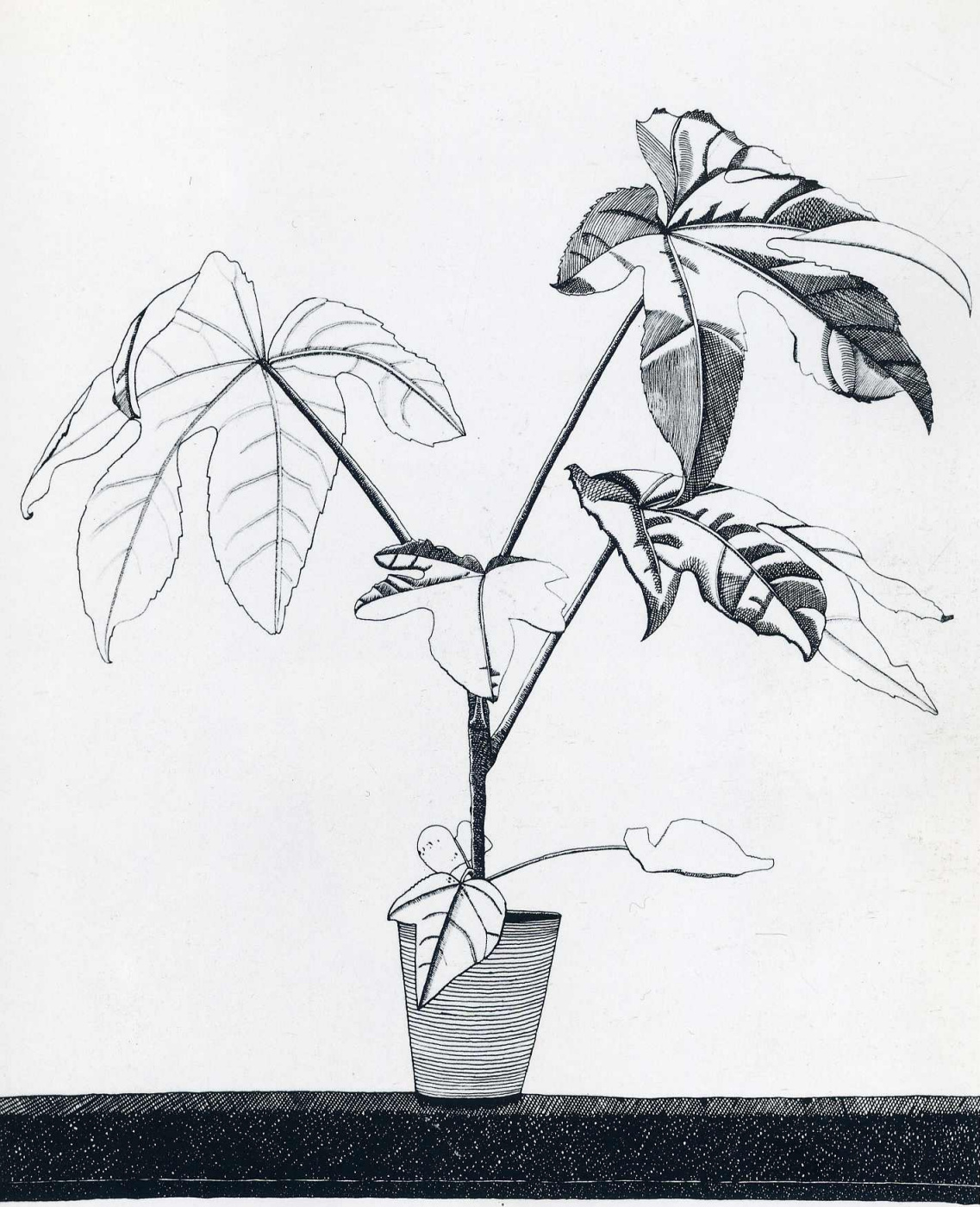 Lucien Freud. Plant