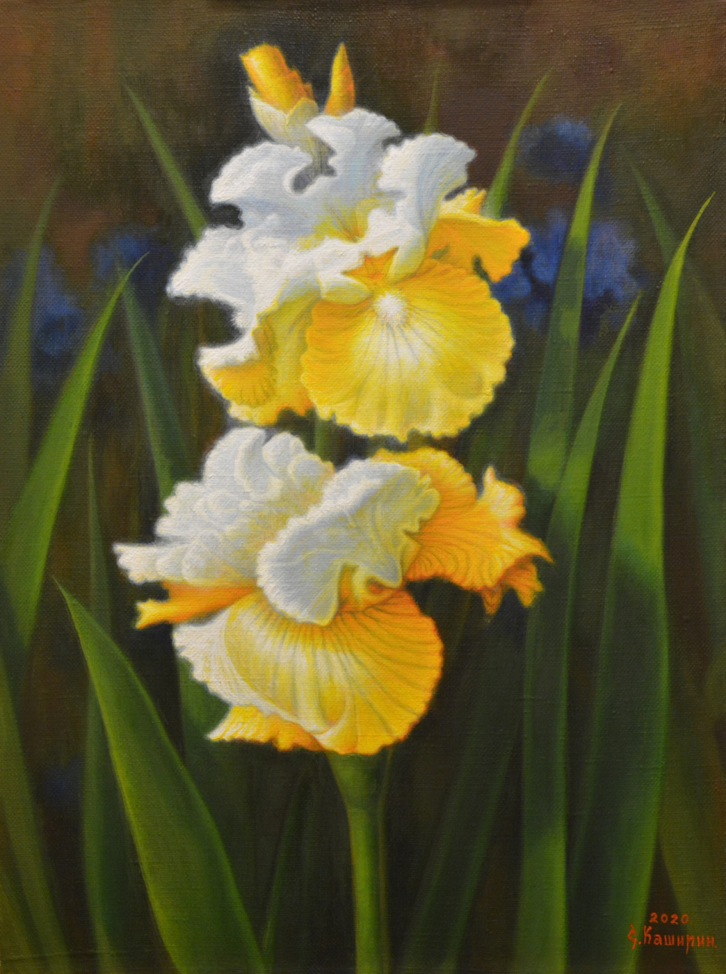 Stepan Vladimirovich Kashirin. Yellow irises