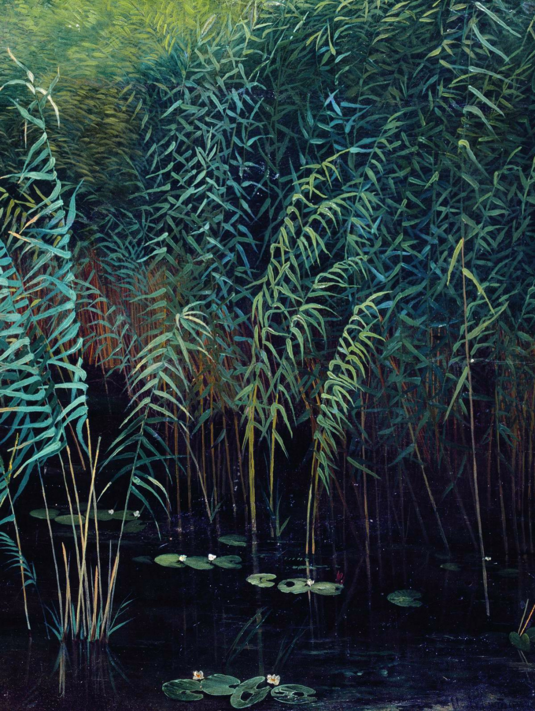 Isaac Levitan. Reeds and water lilies