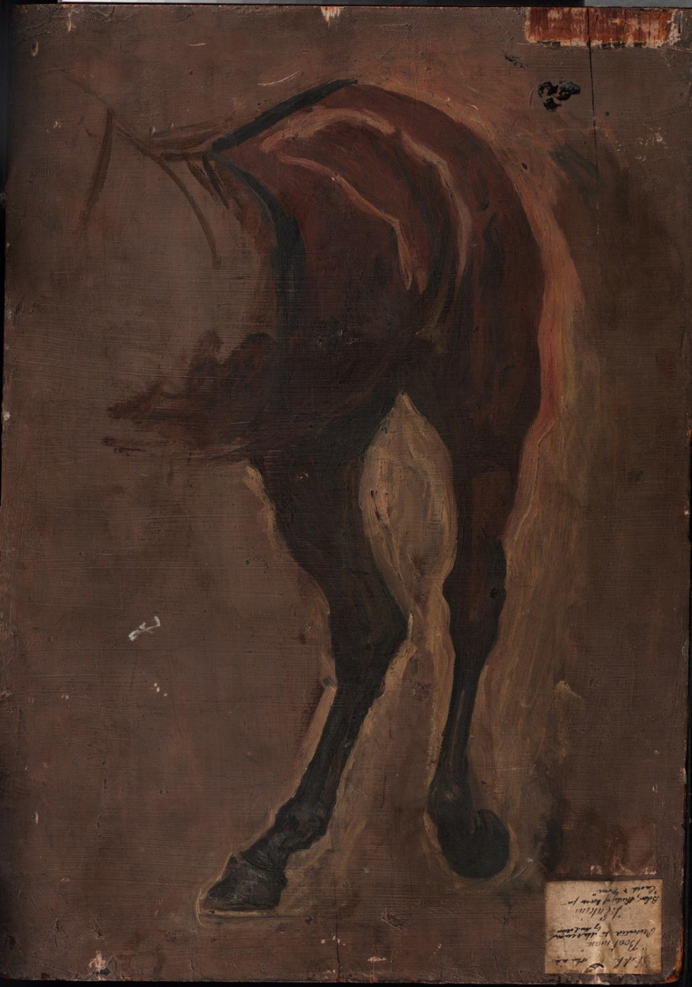 Thomas Eakins. A sketch of the horse