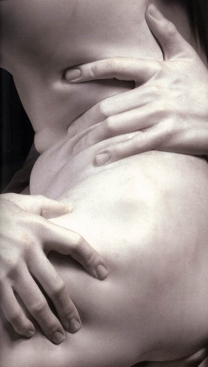 Gian Lorenzo Bernini. The abduction of Proserpina (detail)