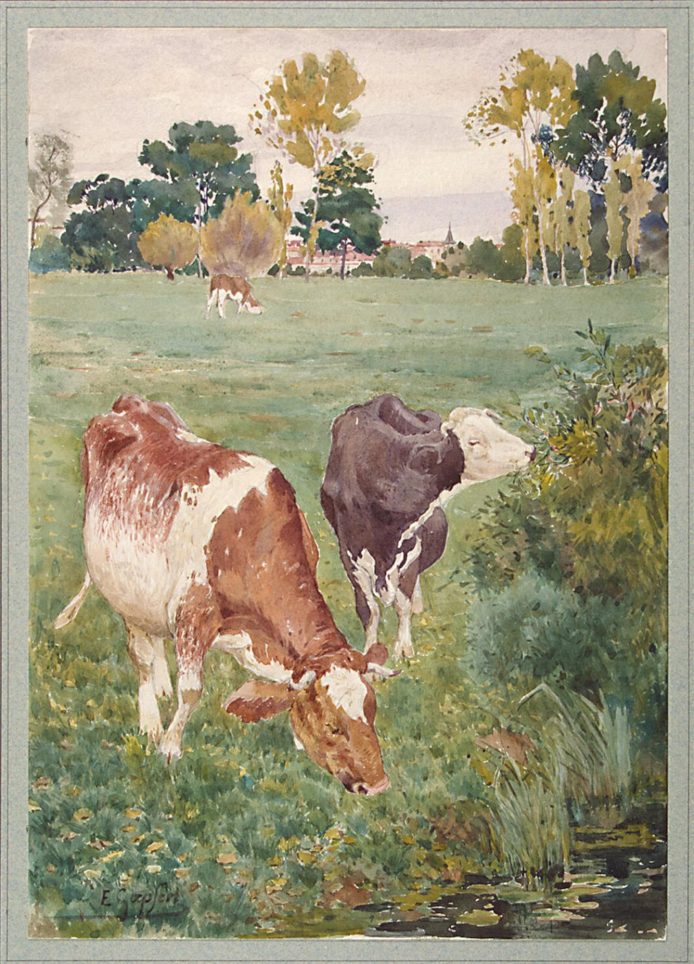 E. Hepfert. Cows grazing in a meadow