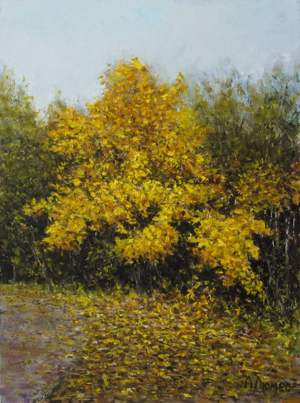 Andrew Lumez. The yellow leaf is autumnal