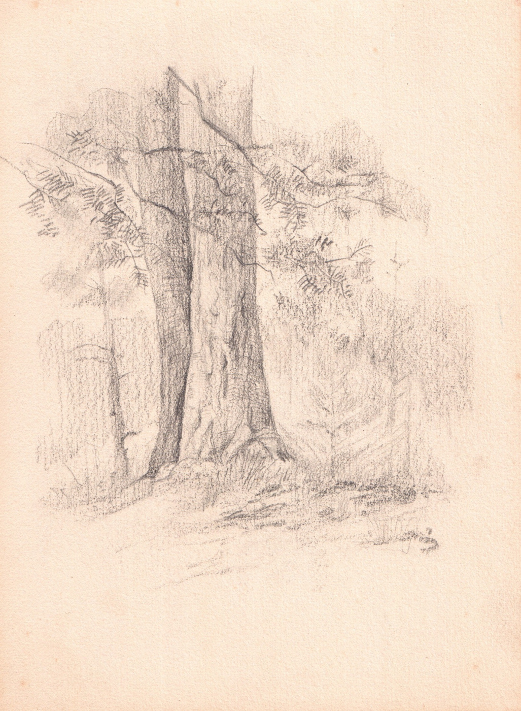 Arkady Pavlovich Laptev. Two trees