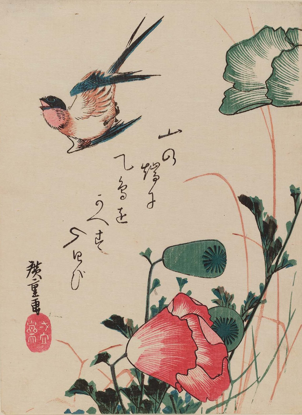 Utagawa Hiroshige. Swallow and Mac. Series "Birds and flowers"